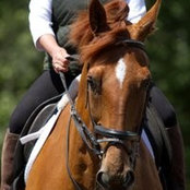 Foto von Karolynne Meyer
