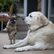 Rebecca Leitschuh's photo