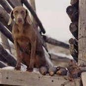 Marc Hunter's photo