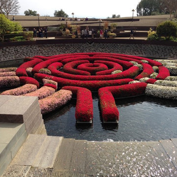 photos from the Getty Museum in 2014