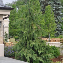 Lac - Landscaping
