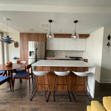 MaryJo Kitchen & Living Renovation