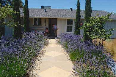 Design ideas for a traditional landscaping in San Francisco.