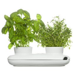 Modern Indoor Pots And Planters by Sagaform Inc