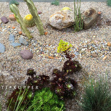 Landscape scenarios