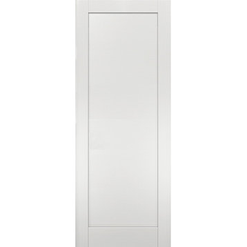Slab Barn Door Panel 24 x 80 | Quadro 4111 White Ash | Pocket Closet