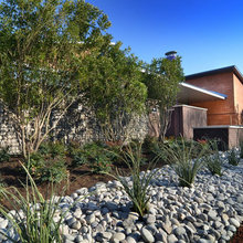 Pool landscape