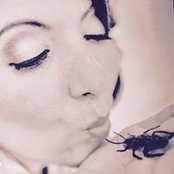 Danielle Harrison's photo