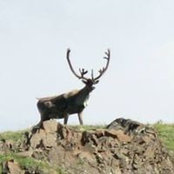 Jarrod Ball's photo