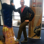 Sean Whitehead's photo