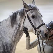 Tammy Dickie's photo
