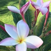 Robin Baca-Gillenwaters's photo