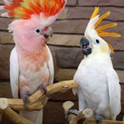 Christine Grez's photo