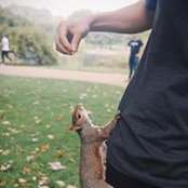 Sam Tongs foto