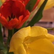 Vicki Brown's photo