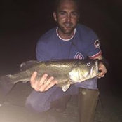 Brooks Harris's photo