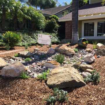 Rain Water Swale and Lawn Removal