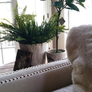 Casual Elegance in Solebury, Pa