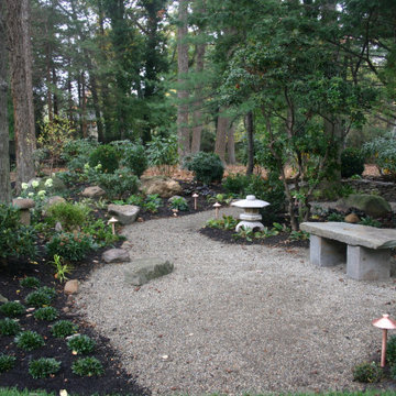 Backyard Renovation