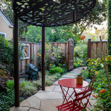 Landscape Ideas