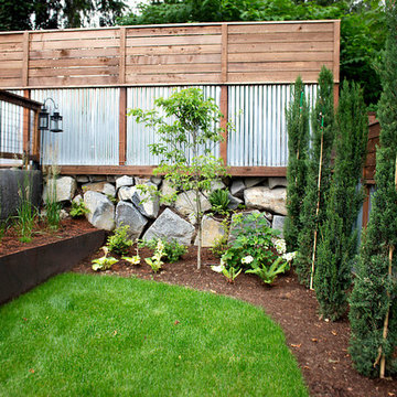 Tabor Modern Backyard