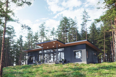 Imagen de fachada de casa gris y gris retro de tamaño medio de una planta con revestimientos combinados, tejado de un solo tendido, tejado de metal y panel y listón