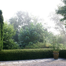 hedges