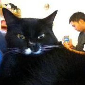 Anh Quoc Nguyen's photo