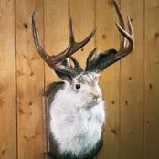 Maryanne Groat's photo