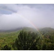 Lynn Akins's photo