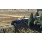 Mary Allen's photo