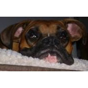 Tom Norton's photo