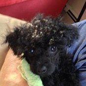 Paula Jewell's photo