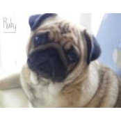 Marie Manuel's photo