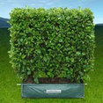 Twining Valley Nurseries's profile photo