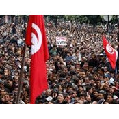 Lotfi Bensassi's photo