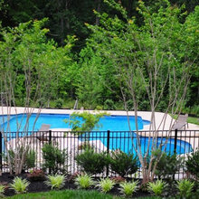 Landscaping Ideas