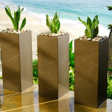 thegoldengirl's landscaping ideas