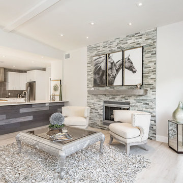 McClellan Park Contemporary