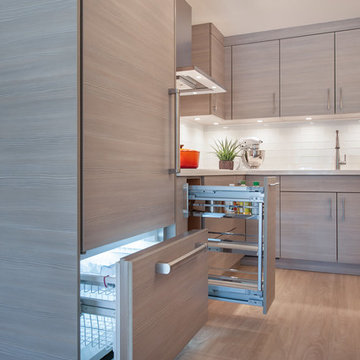 1350 Ala Moana Kitchen Renovation