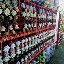 Garden wall