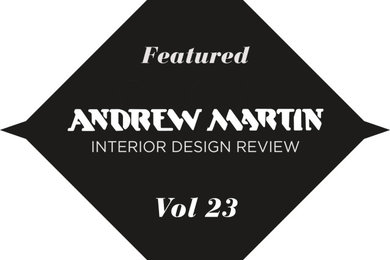 ANDREW MARTIN INTERIOR DESIGN REVIEW