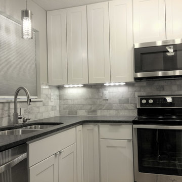 Contemporary Kitchen Remodel