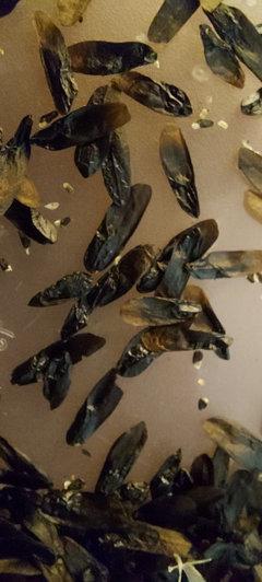 You're trying to tell me this little... | Houzz Forum