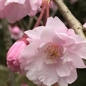 Foto von Mary Kendell