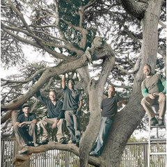 Trees Company