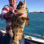 Randall Roberts's photo