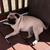 Holly Atta's photo