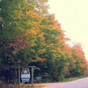 Tassier Sugar Bush's photo