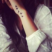 Pascale Morin's photo